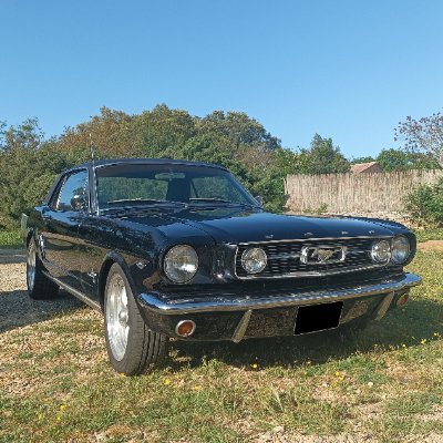 Gandalf_164 🇷🇺