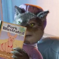 Um lobo de genero discutivel. (vulgo ash)