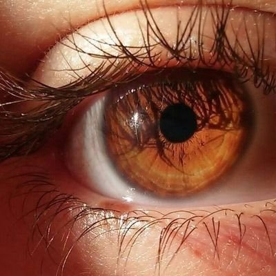 🌱🍒🧊miss mam