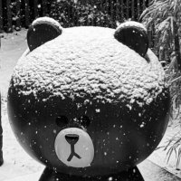 miki·͜· ︎︎미키🪽