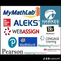 ESSAYS/ASSIGNMENTS GUY/SEMESTER HELP