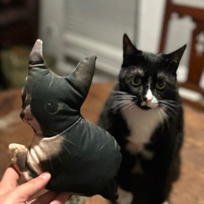 we are trying our best