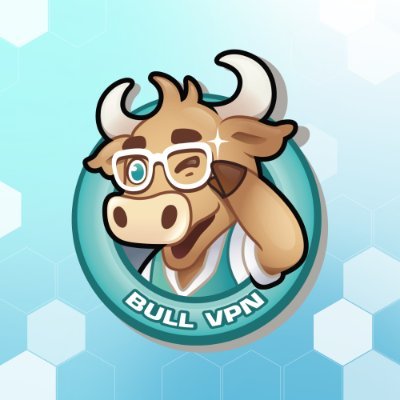 BullVPN - VPN Internet Freedom For Everyone