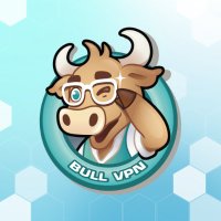 BullVPN - VPN Internet Freedom For Everyone