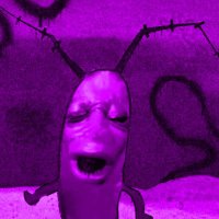 Really trying, for real