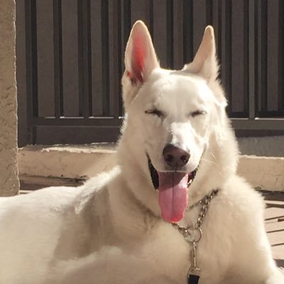 Angel Avi🌈😇❤️