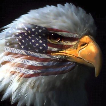 🌹Naturegirl🦅Patriot