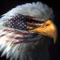 🌹Naturegirl🦅Patriot