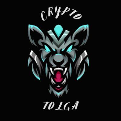 Crypto Tolga