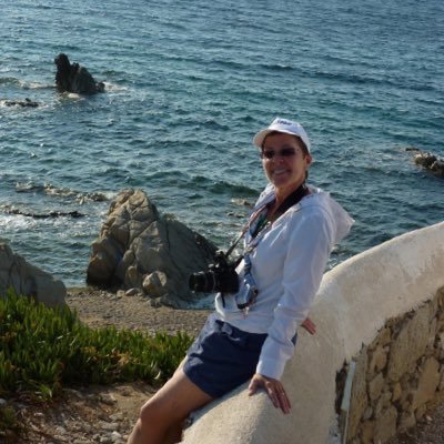 theregoesdavis 🇺🇸 🦩🐈‍⬛