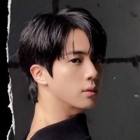 진 WWH🩷💛🩵ᵉᶜʰᵒ jincember