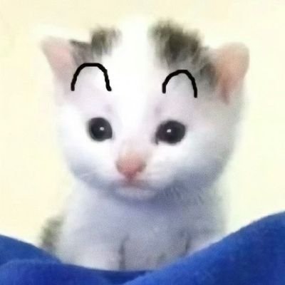 영점일구(상태:5수코 토)