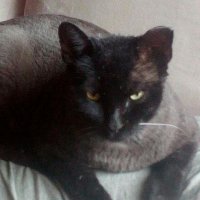 Carmen Pérez Mercado.🇲🇽