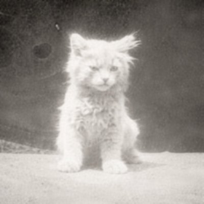 case (aka 'Shill 1 Coin at a Time Guy')