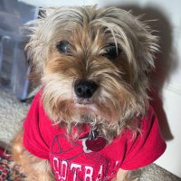 Winston 🐾 🌈Wrigley 🌈 Avi 💜 🩵💚🇺🇲