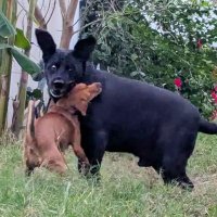 ᑭᖇᑌᖴᖴE et les Mounous au Yucatán ☀️