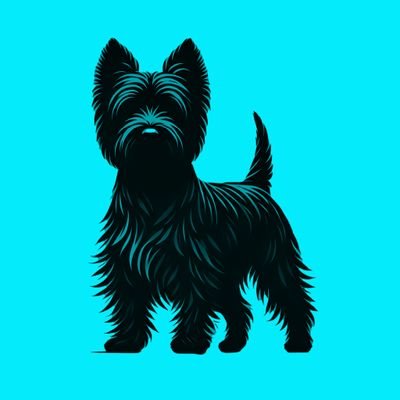 The House of Curiosity