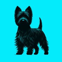 The House of Curiosity