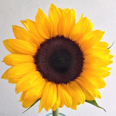 MANU.ELA 🇩🇪🇪🇺🇺🇦🏳️‍🌈 SPNFamily ❤️