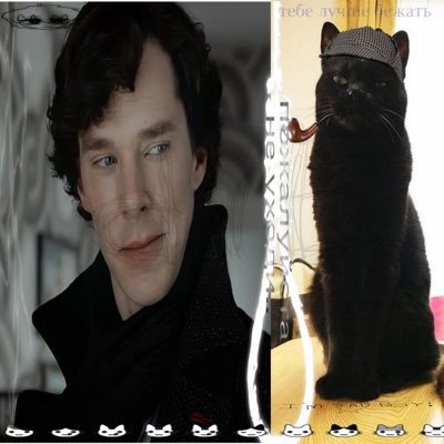 ⋆˚꩜ ʟᴇᴏ ᴀʙʀᴏʙʀᴀ ⊹🩸˚⋆