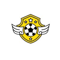 Topowekoszulkipilkarskie