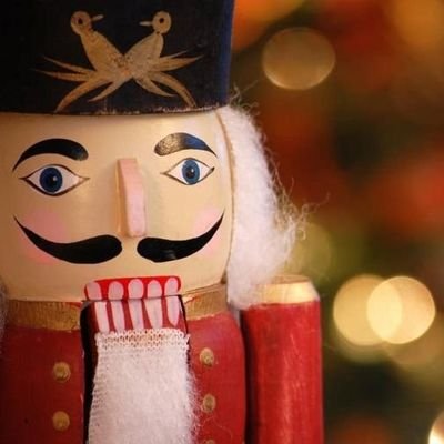 Nutcracker 🌰🤖🥜 🪙🛡️