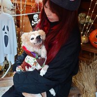 あんにゃん⌚LUNA SEA🌕絆〜新たな旅の始まり