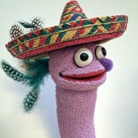 Dr. Elle's Sassy Pants