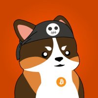 Enjo.btc 🥷🏽 (🌋,🌋) 🟠