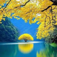 Peter Higgins (conkers)