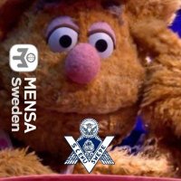 Enok 🇸🇪 | Time wounds all heels | 🇳🇱 🇩🇪 🇬🇧