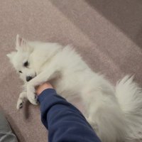 yama | software developer 🇯🇵