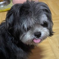 🖤🦜 iwish 🍮🌶️