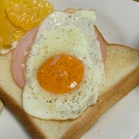 コチャコ（公論サポーター中四国支部）