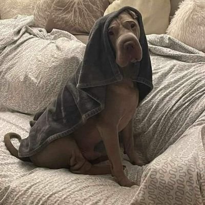 Mark 🏴󠁧󠁢󠁥󠁮󠁧󠁿 🇬🇧