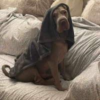 Mark 🏴󠁧󠁢󠁥󠁮󠁧󠁿 🇬🇧