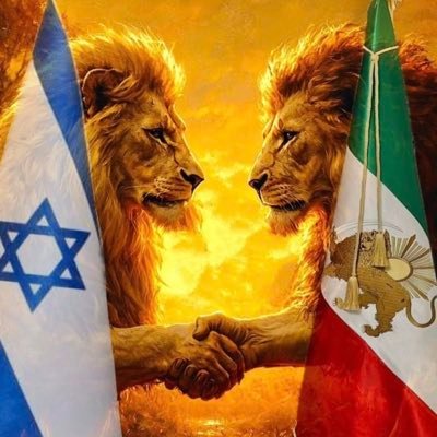 🇫🇷NicoleBern🇫🇷🇹🇷🇮🇱🇺🇸 🎗️