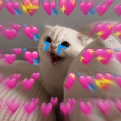 เพอเพิ่ล