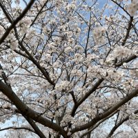 ただのビジネスマン