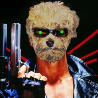 Keithshortsellkiller