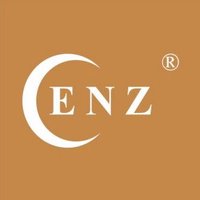 ENZHDT Technology-Security Solutions Provider