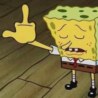 MAID program conscription groyper