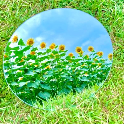 義本：ｷﾞﾓﾄかもだしﾖｼﾓﾄ鴨出汁