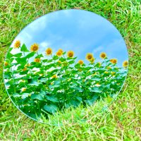 義本：ｷﾞﾓﾄかもだしﾖｼﾓﾄ鴨出汁