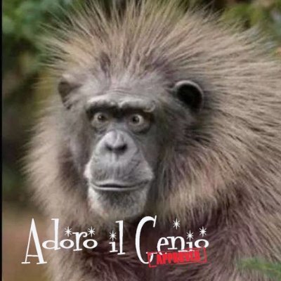 Adoro il Genio
