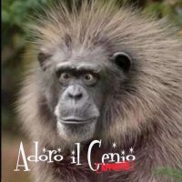 Adoro il Genio