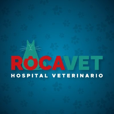 Rocavet_Servicios_Veterinarios