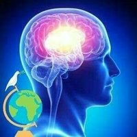 Love Peace Warrior 🇵🇰 1947