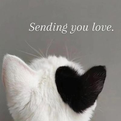 Rae Girl♥️🇨🇦❤️💪🇺🇦🌏🙏☮️🟧