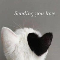 Rae Girl♥️🇨🇦❤️💪🇺🇦🌏🙏☮️🟧